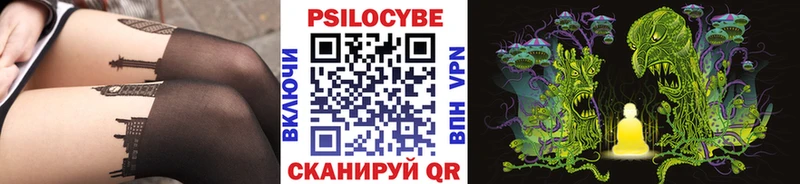 гидра зеркало  Верещагино  Псилоцибиновые грибы Psilocybe 